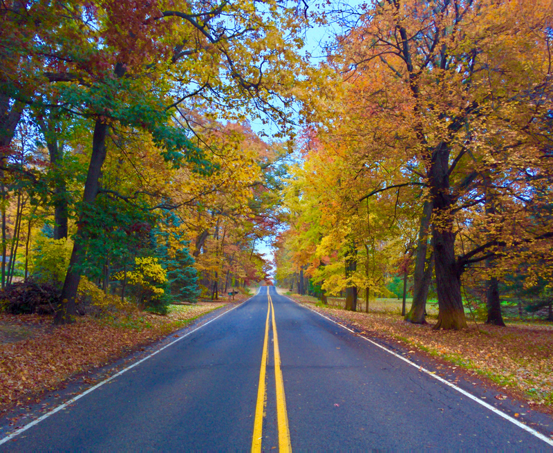 Illustration for article titled 48 Photos Of Autumn Around The World